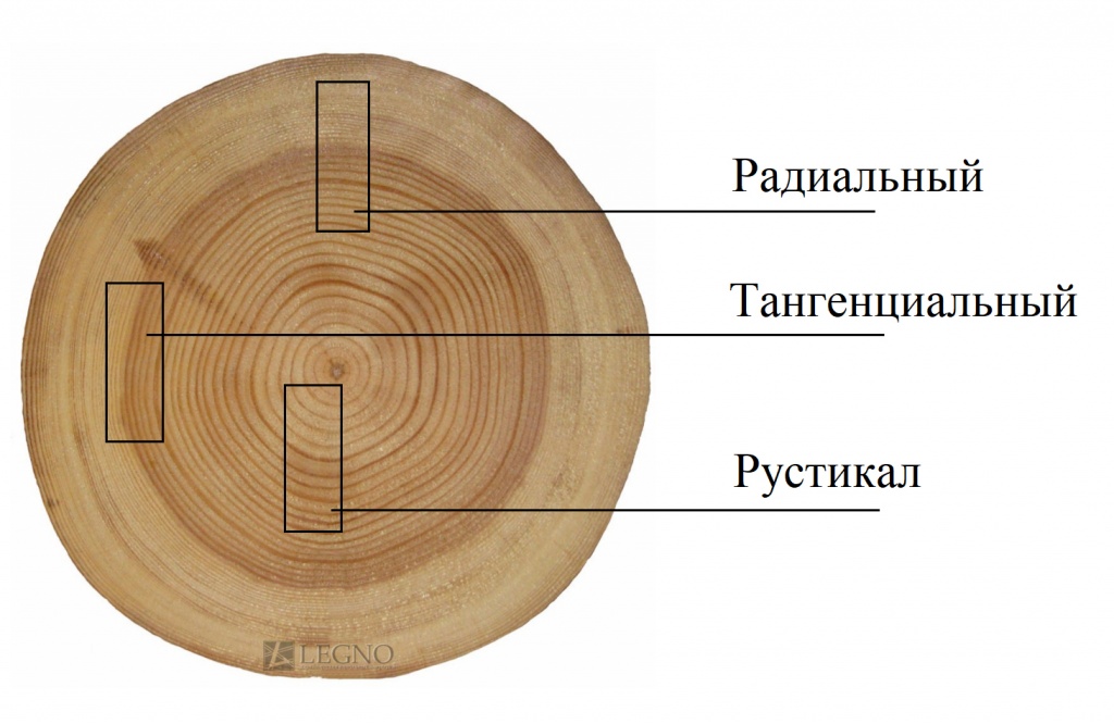 Радиальная древесина